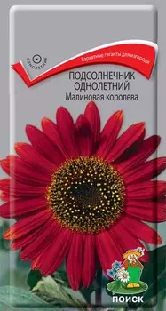 Подсолнечник "Поиск" Малиновая королева однолетний 0,5г