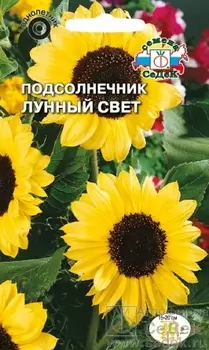 Подсолнечник "Седек" Лунный свет 1г
