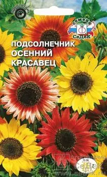 Подсолнечник "Седек" Осенний красавец 1г