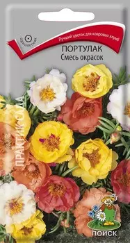 Портулак "Поиск" Смесь окрасок 0,1г