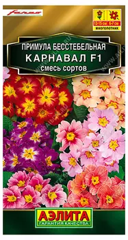 Примула "Аэлита" Карнавал F1 7шт