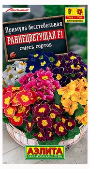 Примула "Аэлита" Раннецветущая F1 7шт