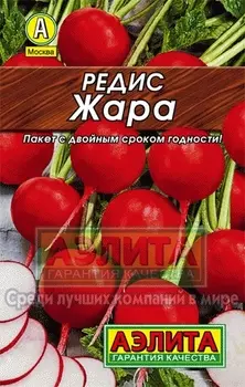Редис "Аэлита" Жара 6г