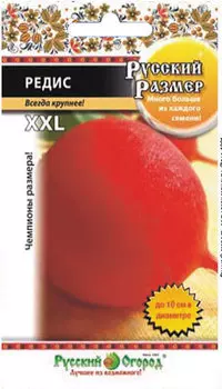 Редис Русский размер (200шт)