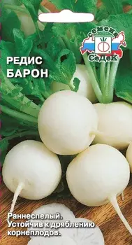Редис "Седек" Барон 2г