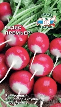 Редис "Седек" Премьер 3г