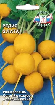 Редис "Седек" Злата 3г