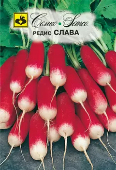 Редис "Семко" Слава 3г