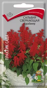 Сальвия "Поиск" Карабинер сверкающая 0,1г