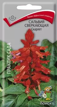 Сальвия "Поиск" Скарлет сверкающая 0,3г