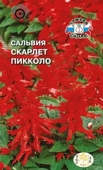 Сальвия "Седек" Скарлет пикколо 0,2г
