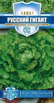 Салат "Гавриш" Русский богатырь 0,5г