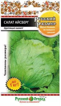 Салат кочанный "Русский огород" Айсберг Русский размер 0,3г
