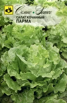Салат кочанный "Семко" Парма 1г