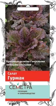 Салат "Поиск" Гурман 1г