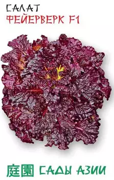 Салат "Сады Азии" Фейерверк F1 0,5г