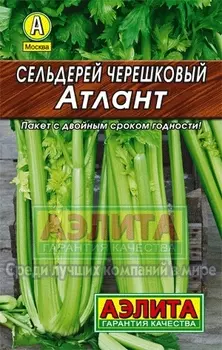 Сельдерей черешковый "Аэлита" Атлант 0,5г