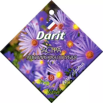 Семена Астра "Darit" Альпийская голубая 0,1г
