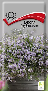 Семена Бакопа "Поиск" Голубая лавина 5шт