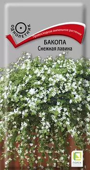 Семена Бакопа "Поиск" Снежная лавина 5шт