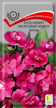 Семена Бальзамин махровый "Поиск" Афина Паллада 5шт