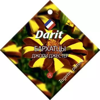 Семена Бархатцы отклоненные "Darit" Джоли Джестер 0,3г