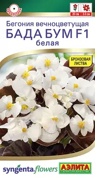 Семена Бегония "Аэлита" Бада бум F1 белая 5шт