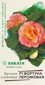 Семена Бегония "Гавриш" Фортуна Персиковая F1 4шт
