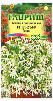 Семена Бегония "Гавриш" Триумф белый F1 5шт