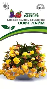 Семена Бегония клубневая ампельная махровая "Партнер" Софт Лайм F1 5шт