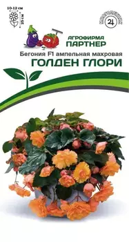 Семена Бегония клубневая ампельная махровая "Партнер" Голден Глори F1 5шт