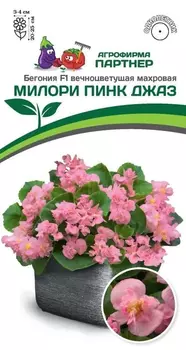 Семена Бегония вечноцветущая махровая "Партнер" Милори Пинк Джаз F1 5шт