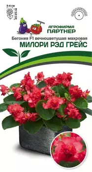 Семена Бегония вечноцветущая махровая "Партнер" Милори Рэд Грейс F1 5шт
