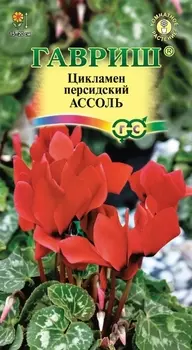 Семена Цикламен "Гавриш" Ассоль персидский 3шт