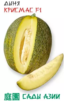 Семена Дыня "Сады Азии" Крисмас F1 5шт