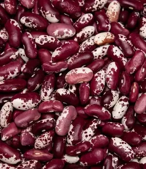 Семена Фасоль овощная "Аэлита" Ласточка 5г