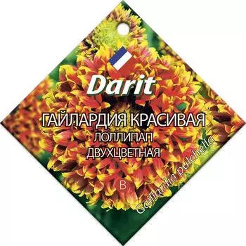 Семена Гайлардия красивая "Darit" Лоллипап двухцветная 0,1г