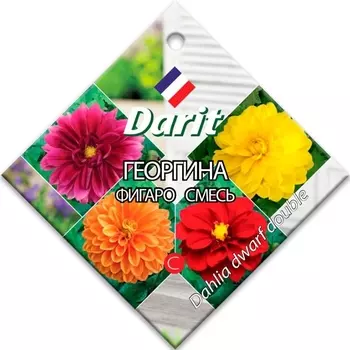 Семена Георгина "Darit" Фигаро смесь 0,3г