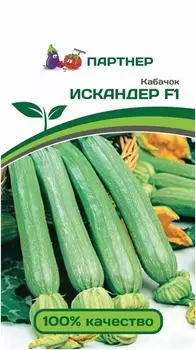Семена Кабачок "Партнер" Искандер F1 5шт