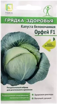 Семена Капуста б/к "Поиск" Орфей F1 0,2г