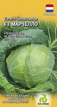 Семена Капуста белокочанная "Гавриш" Марчелло F1 10шт