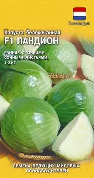 Семена Капуста белокочанная "Гавриш" Пандион F1 10шт