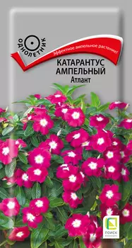 Семена Катарантус ампельный "Поиск" Атлант 10шт