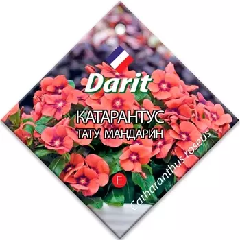 Семена Катарантус "Darit" Тату Мандарин 7шт