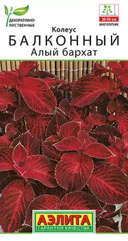 Семена Колеус балконный "Аэлита" Алый бархат 5шт