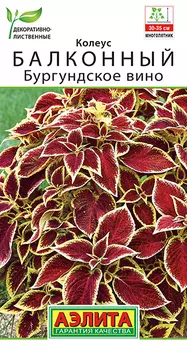 Семена Колеус балконный "Аэлита" Бургундское вино 5шт