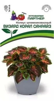 Семена Колеус "Партнер" шлемниковидный Визард Корал Санрайз 10шт