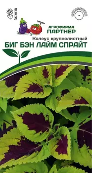 Семена Колеус шлемниковидный "Партнер" Биг Бэн Лайм Спрайт 5шт