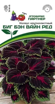 Семена Колеус шлемниковидный "Партнер" Биг Бэн Вайн Ред 5шт