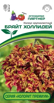 Семена Колеус шлемниковидный "Партнер" Брайт Холлидей 5шт